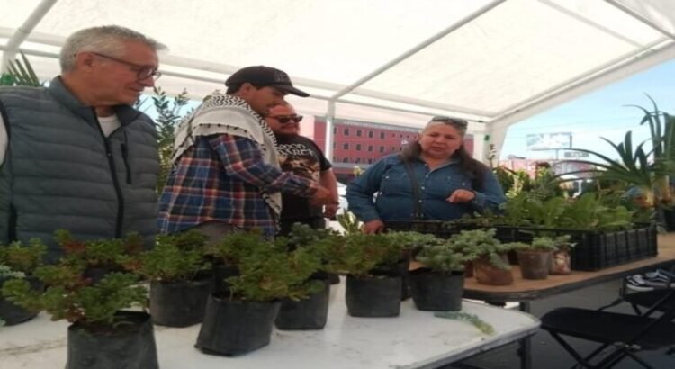 Buscan empezar una nueva etapa ambiental y tecnológica en Tlalnepantla Buscan empezar una nueva etapa ambiental y tecnológica en Tlalnepantla