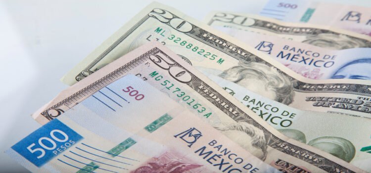 Deportan a más de 250 mexiquenses tras políticas de Trump Deportan a más de 250 mexiquenses tras políticas de Trump