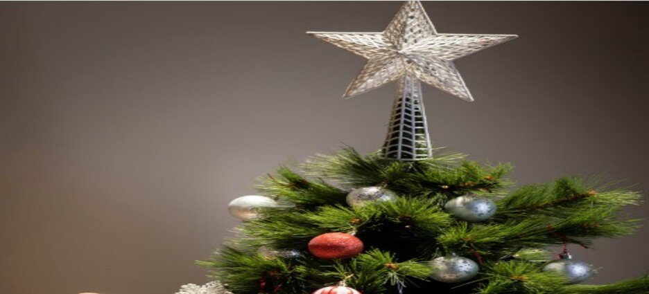 Darán segunda vida a los árboles de Navidad en Tlalnepantla