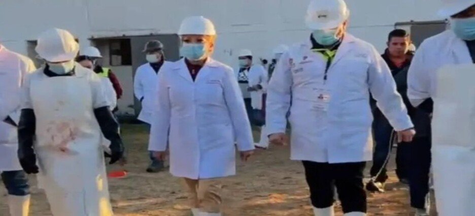 Incrementa a 10 el numero de casos de gusano barrenador en Edomex